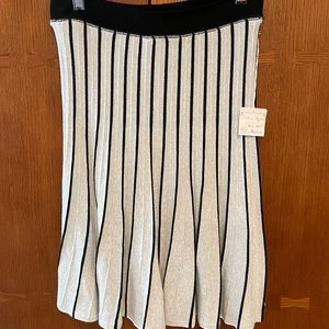 NWT Boutique Skirt